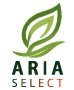 logo_2